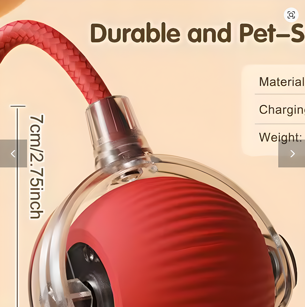 Cat Interactive Ball Toy