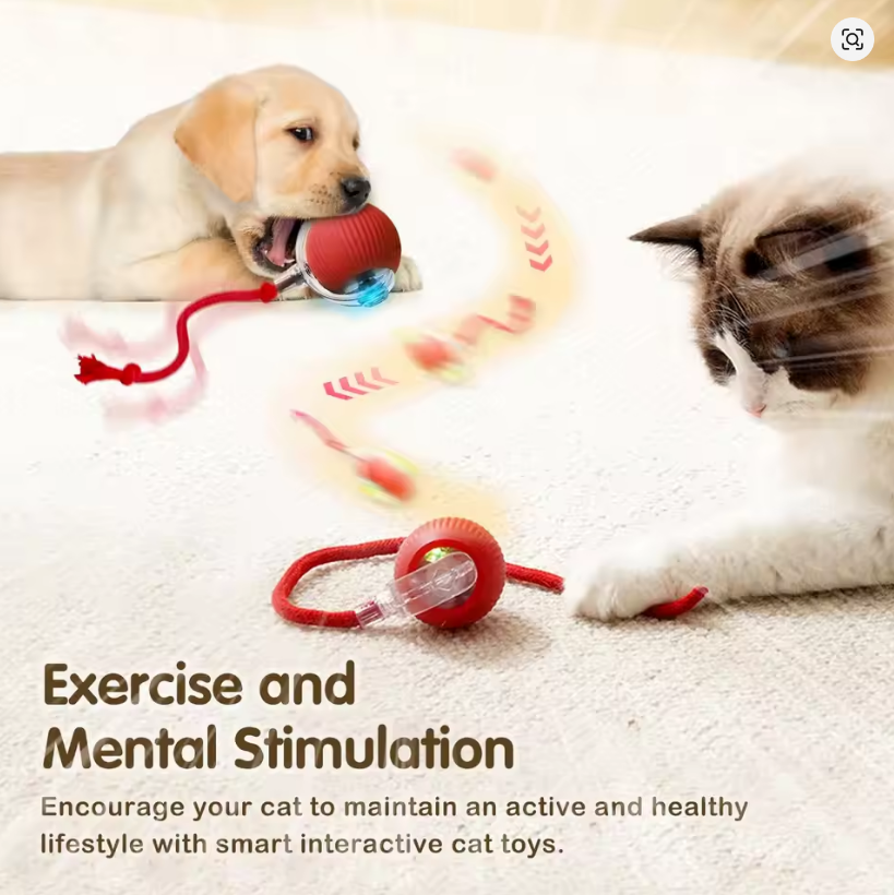 Cat Interactive Ball Toy