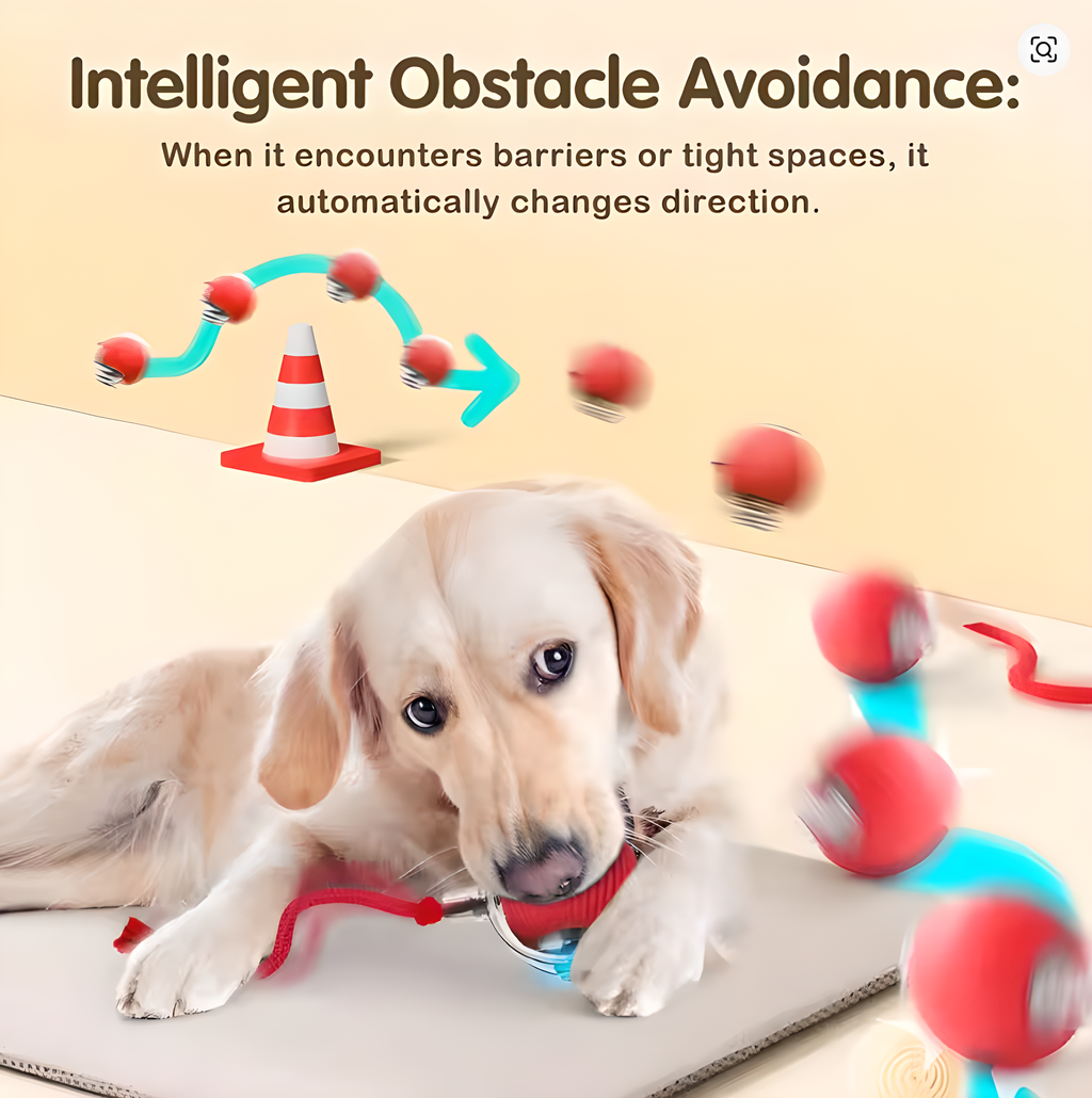 Cat Interactive Ball Toy