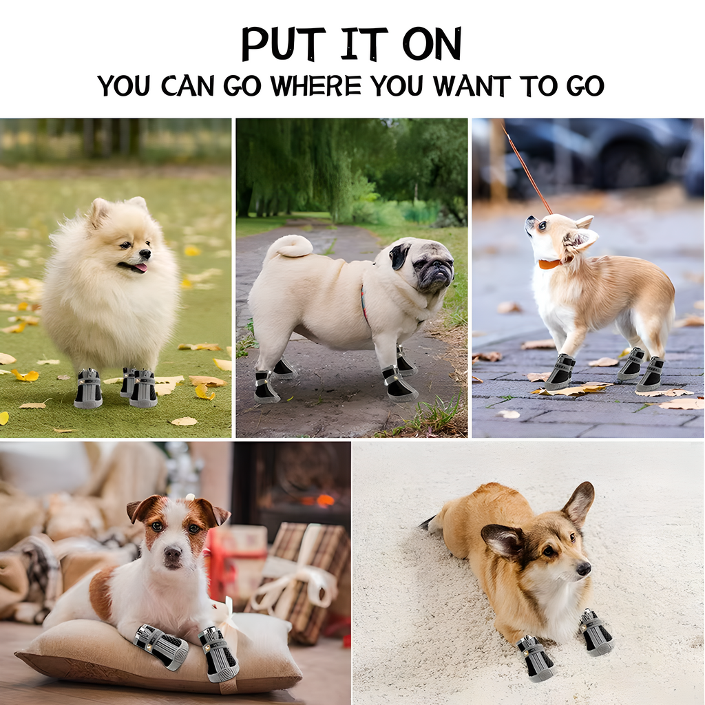 Comfy Dog Shoes