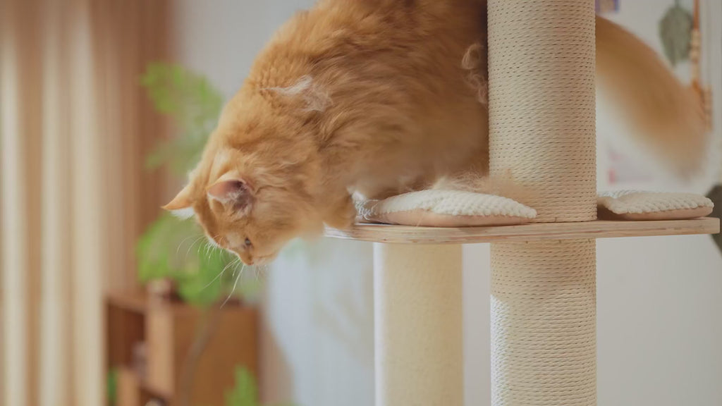 Pet Hair Remover Roller - Dog & Cat Fur Remover with Self-Cleaning Base - Efficient Animal Hair Removal Tool