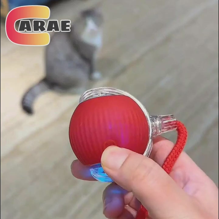 Cat Interactive Ball Toy, Automatic Rolling Ball with Tail, Rechargeable Smart Pet Interactive Toy, Intelligent Mouse for Cat